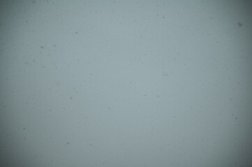 Schnefall, Bilck Richtung Himmel.