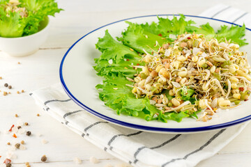 Mix of sprouted flax, peas, mung bean, sunflower, wheat, lentil seedson a plate on white background. vegan, raw food diet