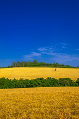 Fototapeta premium rural landscape. contryside, beautiful farm