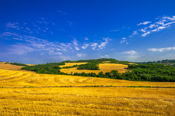 rural landscape. contryside, beautiful farm