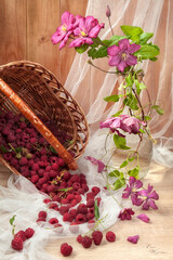 Fototapeta na wymiar Composition of flowers clematis and a basket with a raspberry. Still life in a rustic style. Raspberry spill out of a wicker basket on the table.