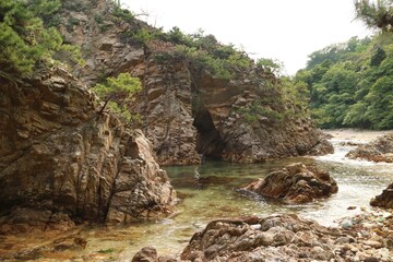 Obraz premium rocks in the forest
