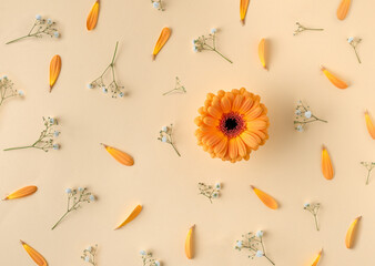 Floral flatlay pattern with orange gerbera daisy blossom