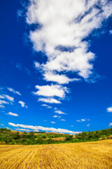 Obraz premium rural landscape. contryside, beautiful farm