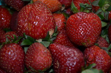 Detailed close-up of organic strawberries. Beautiful and tasty strawberries.
