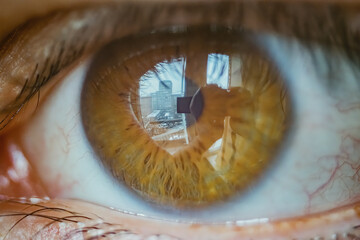 Beautiful light brown eye macro photo