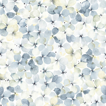 Floral seamless pattern with inflorescences hydrangea scattered on white background. Watercolor illustration in blue color in vintage style.