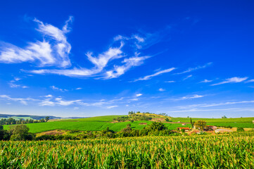 Fototapeta na wymiar rural landscape. contryside, beautiful farm