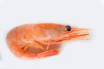 boiled shrimp on a white plate close-up