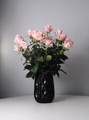 Tender bouquet of pink roses in black vase. Interior floral decor. Fresh flowers on grey background. Valentines day gift idea.