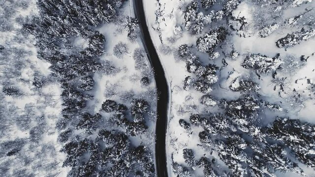 Aerial top view of asphalt road in high mountains. Winter forest with snow, foggy weather. Drone flying over road, no car driving