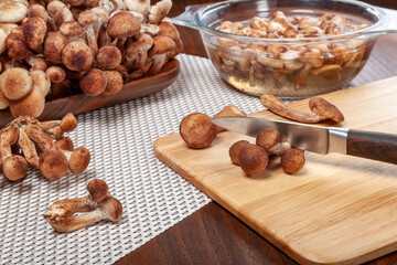 Forest mushrooms honey agarics. Raw wild  mushrooms for cooking. Composition /still-life with wild mushrooms, onions, spices on a wooden background in a rustic style.
