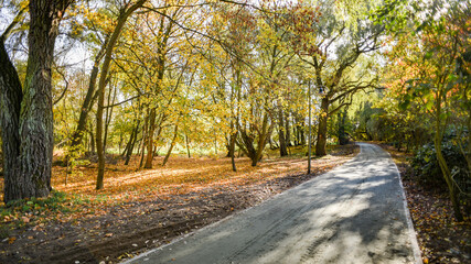 .Walking path in the park in spring. .Walking path in the park in spring.