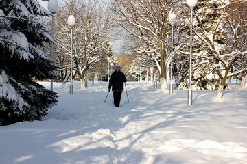 Senior at the snow in winter nordic walking