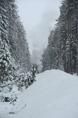 Obraz premium Winter forest in the snow and smoke from a campfire in the distance.