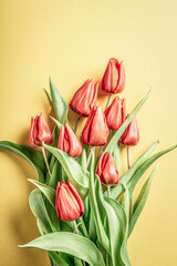 Orange tulips over yellow background, Easter. Birthday, mother day greeting card concept with copy space. Top view, flat lay.