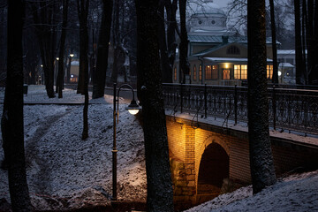 Bridge in an old park in Moscow