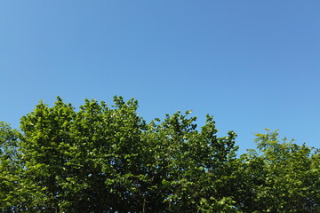 strahlend blauer Himmel