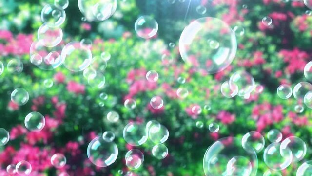 シャボン玉　泡　公園　花背景　ループ
