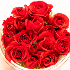 美しき赤い薔薇