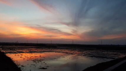 Fototapeta na wymiar Vanilla twilight view from a rice field