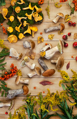 Raw wild  mushrooms  for cooking. Composition with wild mushrooms.Edible wild mushrooms,  on the wooden background.