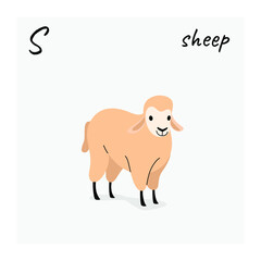 Illustration of sheep. Simple contour vector illustration for emblem, badge, insignia.