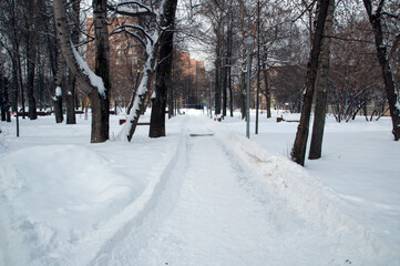 ﻿Snow-covered path in the winter city park on the outskirts of Moscow.


