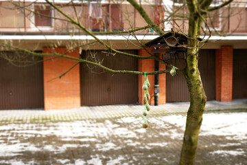  Karmnik dla ptaków, zboże zimą © Вика Лысенко