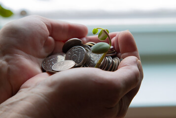 palm with money and a green stalk