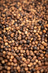 close-up of kampot pepper peppercorns drying in cambodia