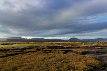 landscape at sunset in the river of laredo in spain