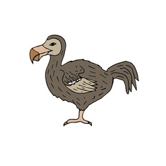 Vector hand drawn doodle sketch colored dodo bird isolated on white background © Sweta