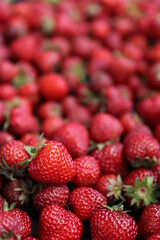 strawberries in a market