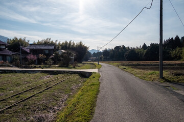 田舎の小道