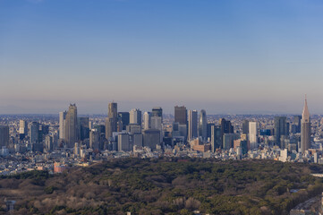 東京都渋谷区から見た東京の夕景
