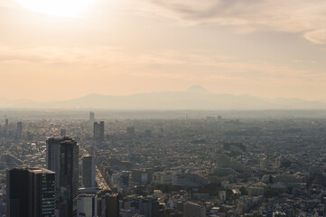Fototapeta premium 東京都渋谷区から見た東京の夕景