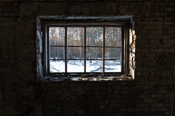 View from the window. View from the window to the forest in winter. Checkered window frame.