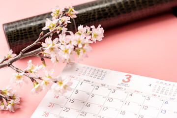 丸筒とカレンダーと桜
