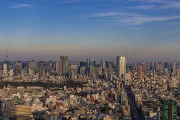 Fototapeta na wymiar 東京都渋谷区から見た東京の夕景