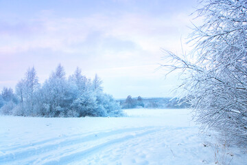 Fototapeta na wymiar Beautiful winter landscape with field of white snow and forest on horizon on sunny frosty day.