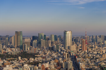 Obraz premium 東京都渋谷区から見た東京の夕景