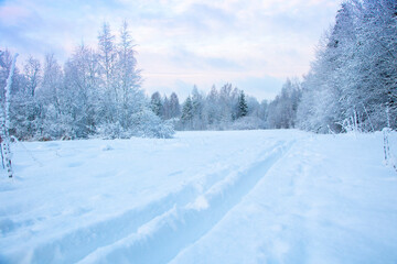 Beautiful winter landscape with field of white snow and forest on horizon on sunny frosty day.