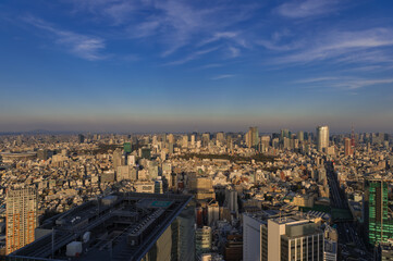 Naklejka na ściany i meble 東京都渋谷区から見た東京の夕景