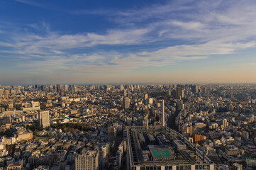 Obraz premium 東京都渋谷区から見た東京の夕景