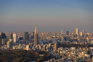 東京都渋谷区から見た東京の夕景