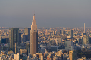 Fototapeta na wymiar 東京都渋谷区から見た東京の夕景