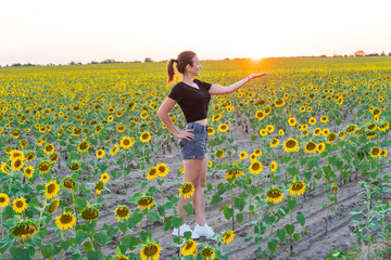 Fototapeta premium Beautiful natural girl in a field with sunflowers at sunset, dawn. young woman in the nature