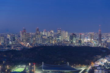 Fototapeta na wymiar 東京都渋谷区から見た東京の夜景