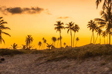 O lindo Pôr do Sol na Praia do Francês